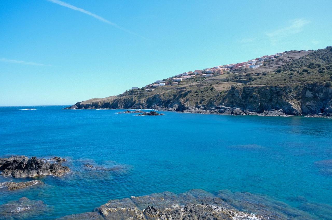 F3 En Bord De Mer Avec Piscine Cerbere Exterior photo