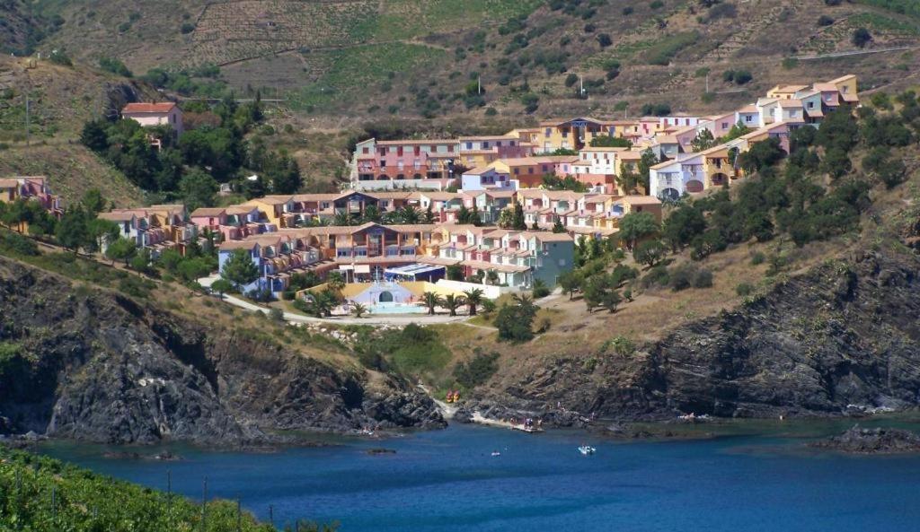 F3 En Bord De Mer Avec Piscine Cerbere Exterior photo